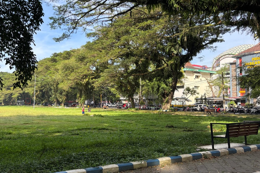 City Park with Green Space